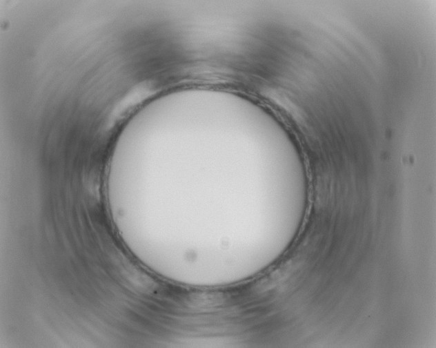 X0000089421451200707061307