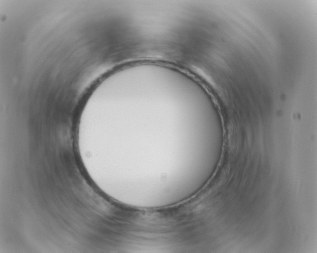 X0000089421452200707061307