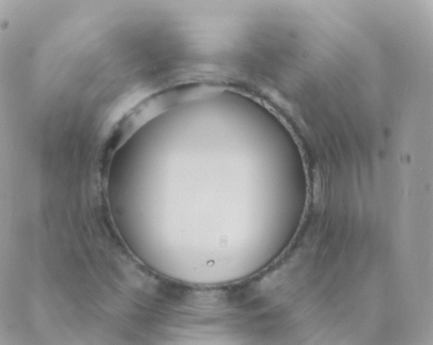 X0000089421453200707061307