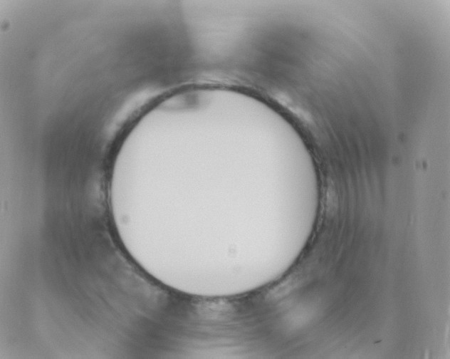 X0000089421454200707061307