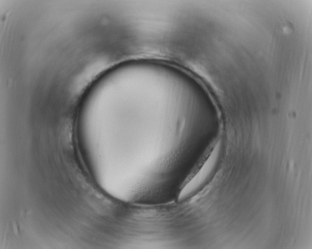 X0000089421455200707061307