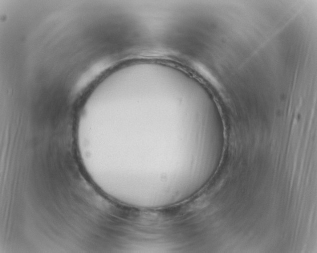 X0000089421456200707061307