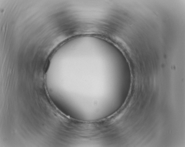 X0000089421457200707061307