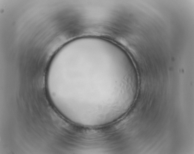 X0000089421459200707061307