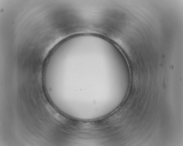 X0000089421460200707061307