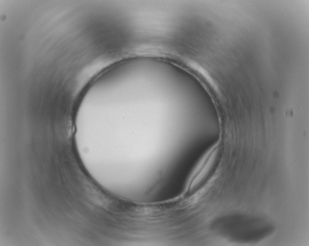 X0000089421461200707061307