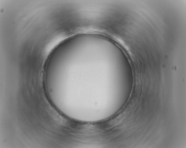 X0000089421463200707061307