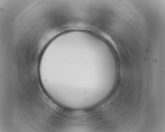 X0000089421464200707061307