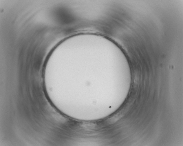 X0000089421466200707061307