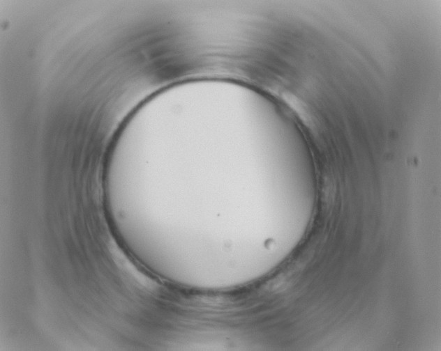 X0000089421468200707061307