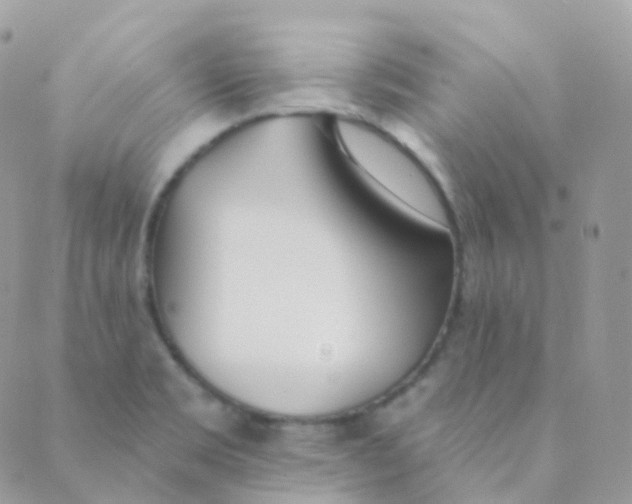 X0000089421469200707061306