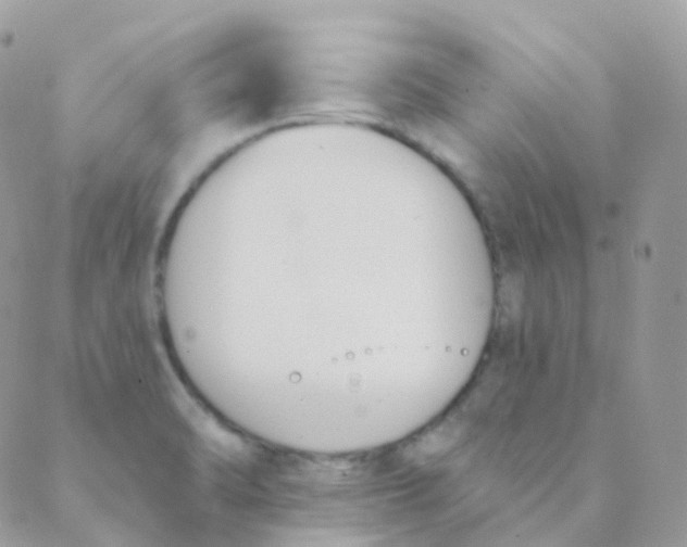 X0000089421470200707061306