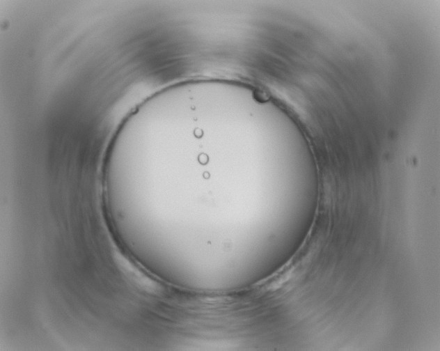 X0000089421471200707061306