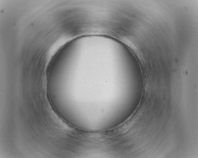 X0000089421472200707061306