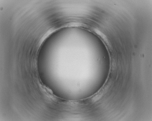 X0000089421473200707061306