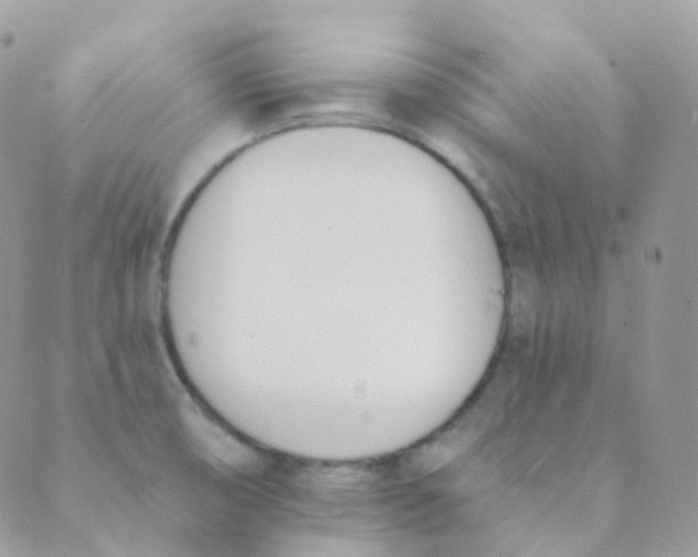 X0000089421474200707061306