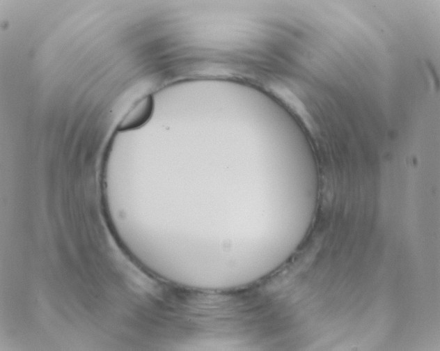 X0000089421475200707061306