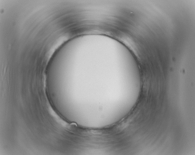 X0000089421476200707061306