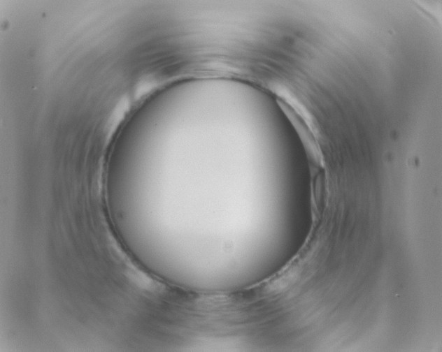 X0000089421477200707061306