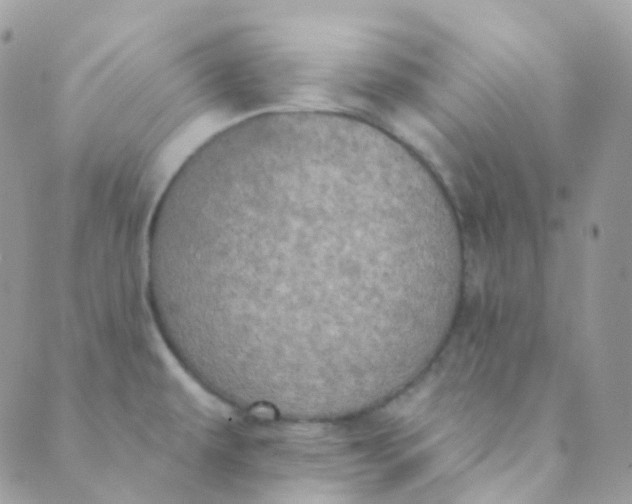 X0000089421479200707061306