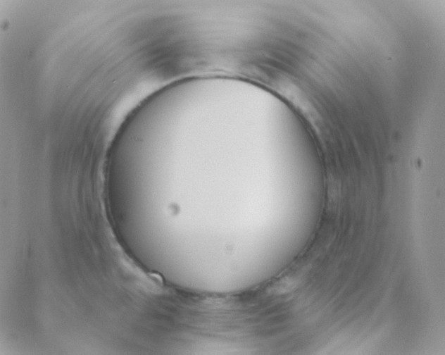 X0000089421480200707061306