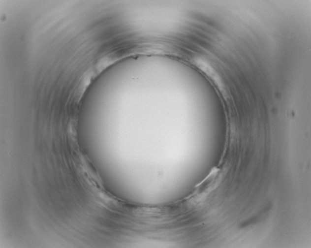 X0000089421481200707061306