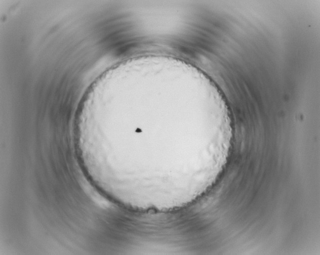 X0000089421482200707061306