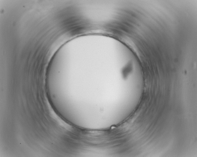 X0000089421483200707061306