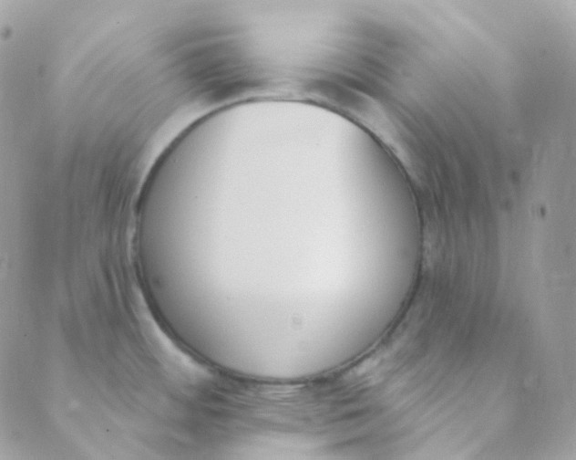 X0000089421484200707061306