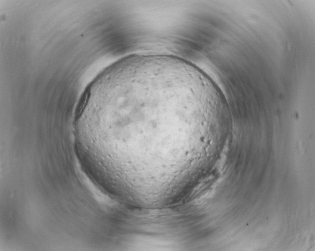 X0000089421485200707061306