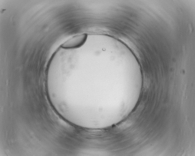 X0000089421486200707061306