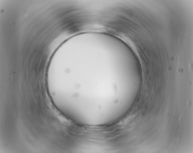 X0000089421488200707061306