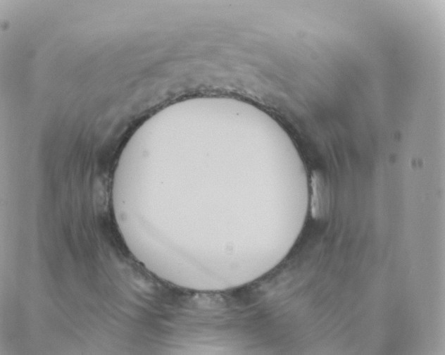 X0000089421491200707061305