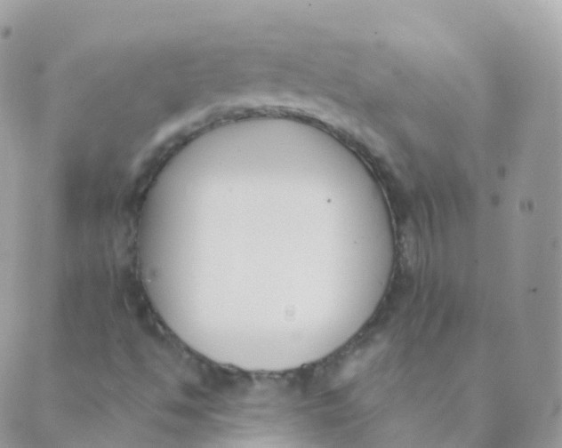 X0000089421494200707061305