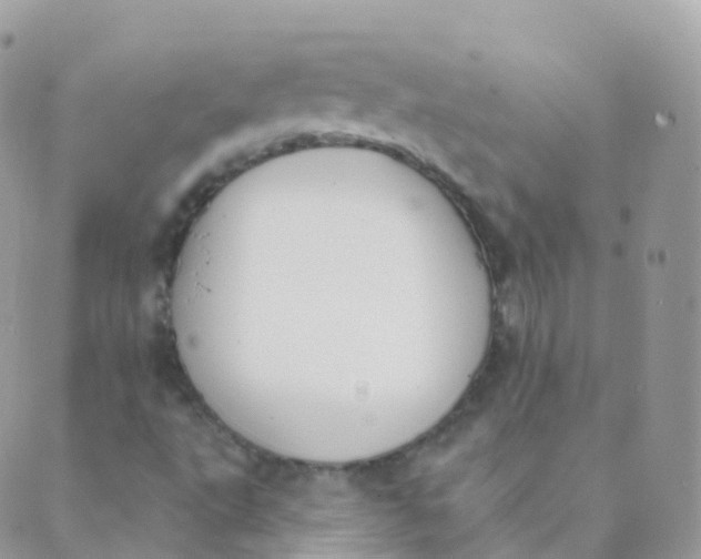 X0000089421495200707061306