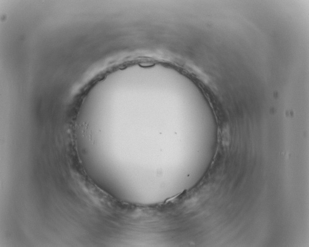 X0000089421496200707061306