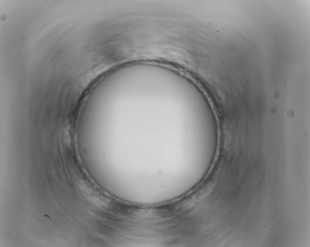 X0000089421497200707061306