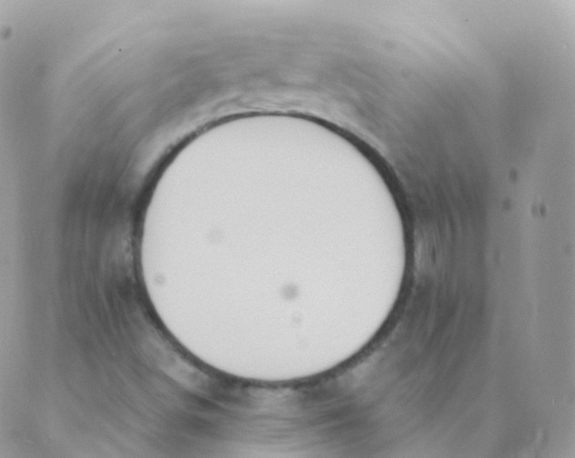 X0000089421498200707061306