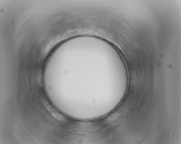 X0000089421499200707061306