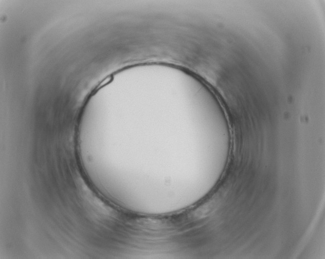 X0000089421500200707061306