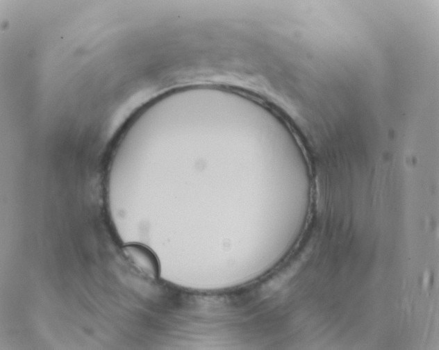 X0000089421501200707061306