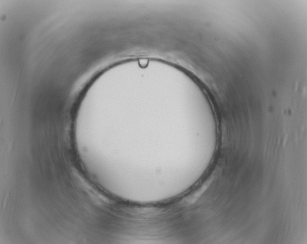 X0000089421502200707061306