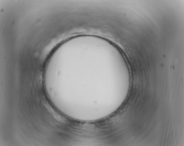 X0000089421503200707061306