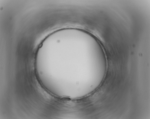 X0000089421504200707061306