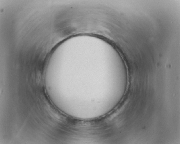 X0000089421505200707061306