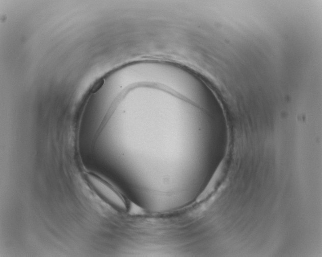 X0000089421506200707061306