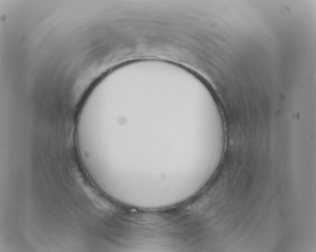 X0000089421507200707061306