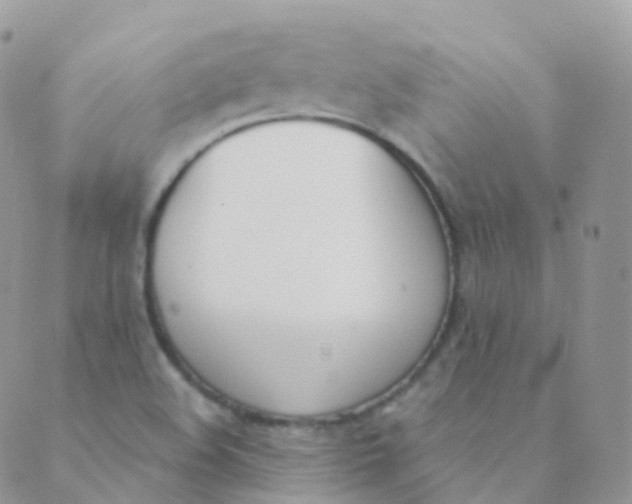 X0000089421508200707061306