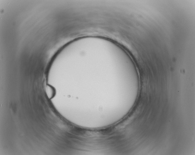 X0000089421509200707061306