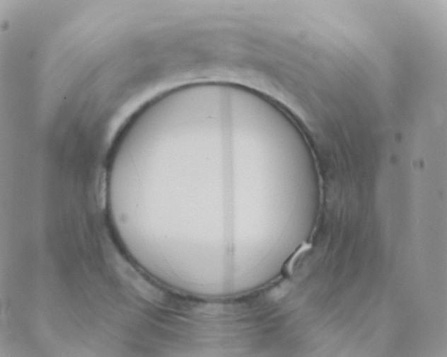 X0000089421510200707061306